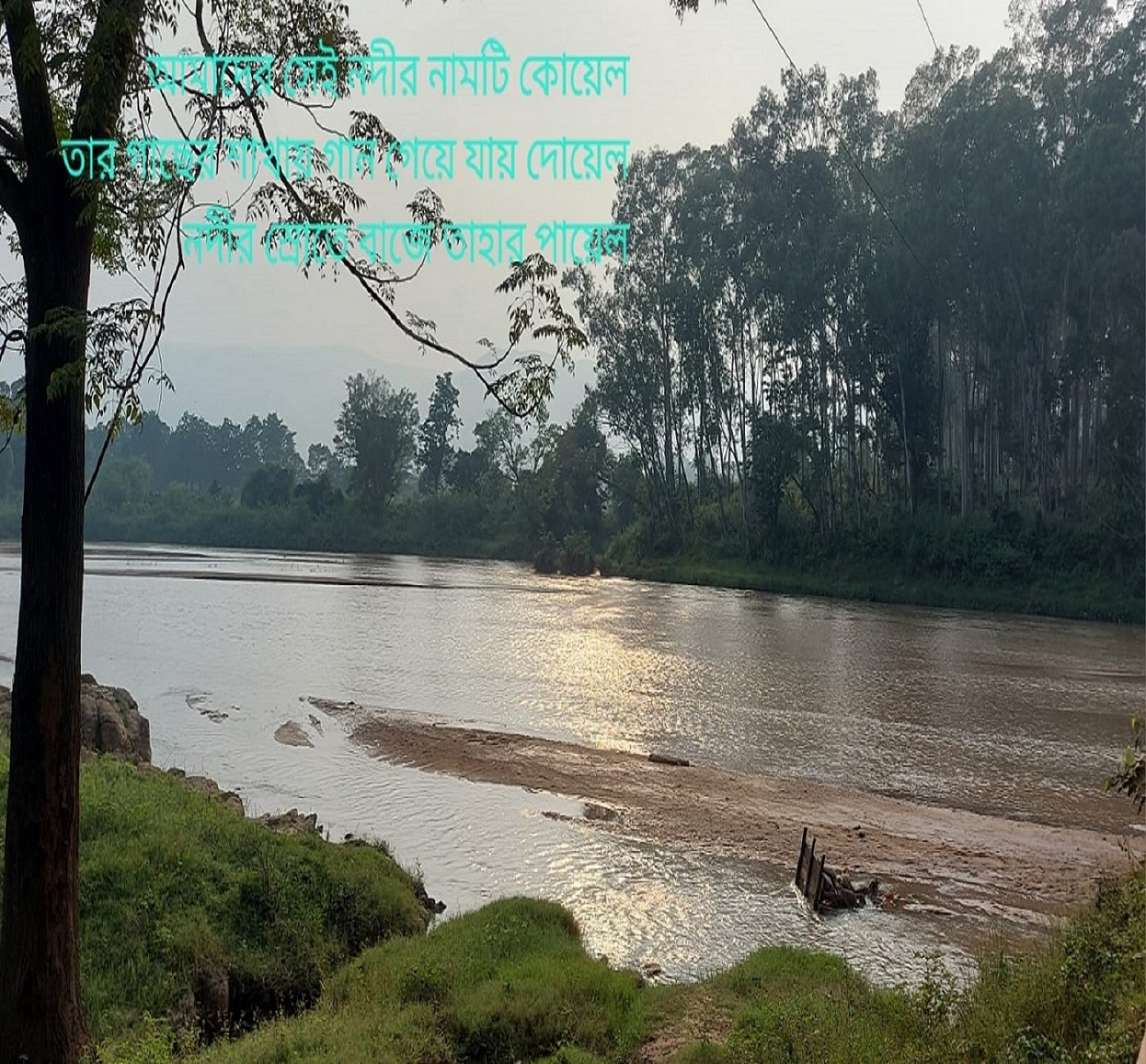 SELF-EXPRESSION 20th issue